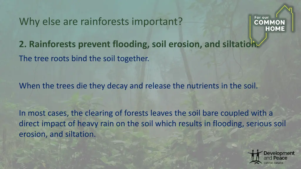 why else are rainforests important