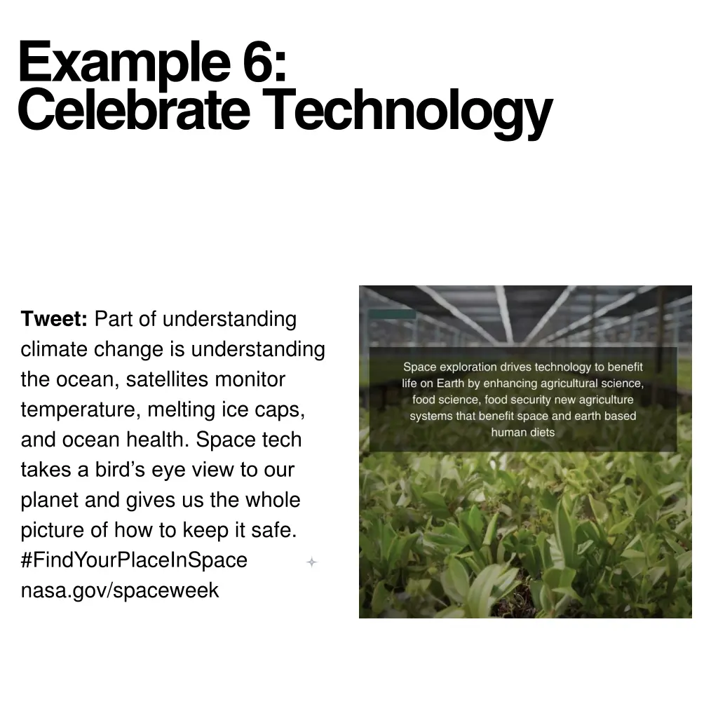 example 6 celebrate technology