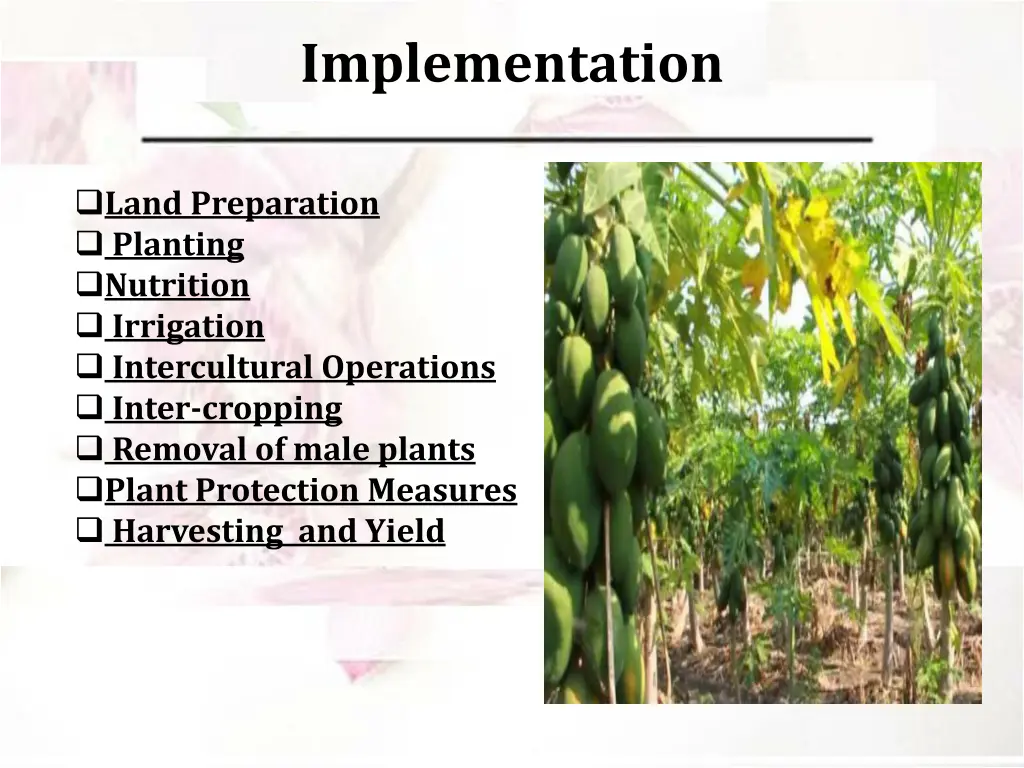 implementation