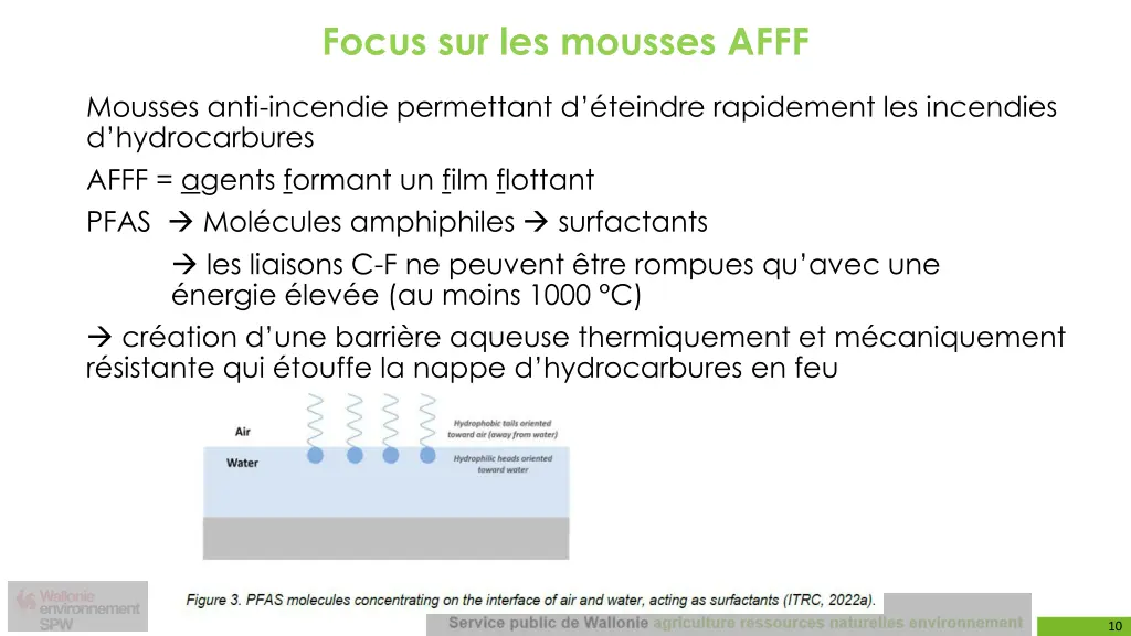 focus sur les mousses afff