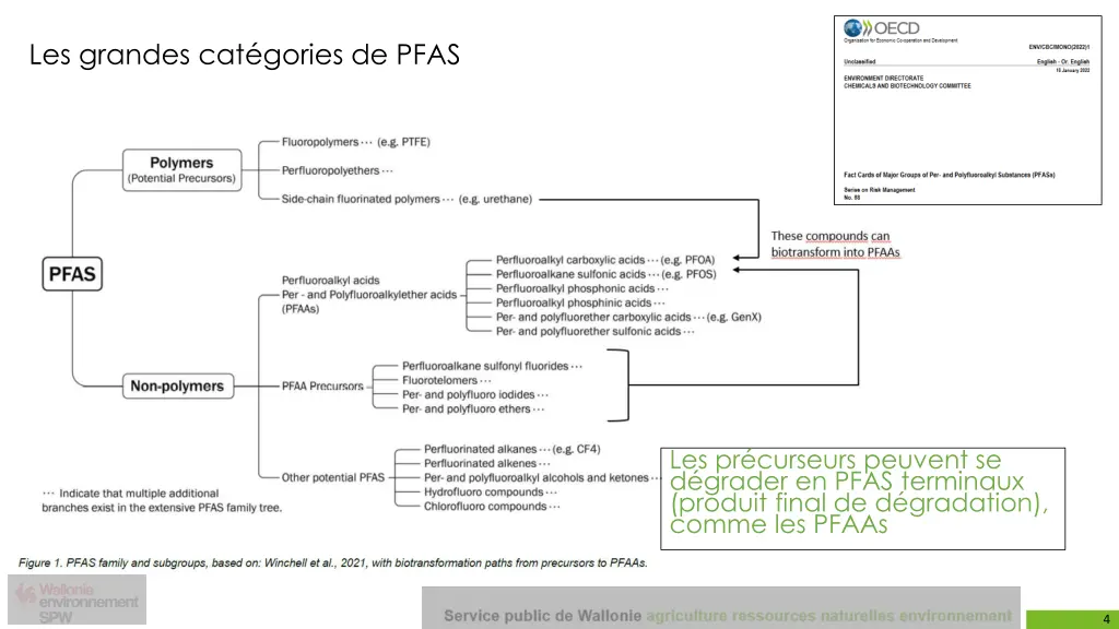 les grandes cat gories de pfas