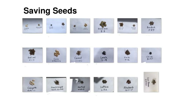 saving seeds