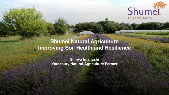 shumei natural agriculture improving soil health