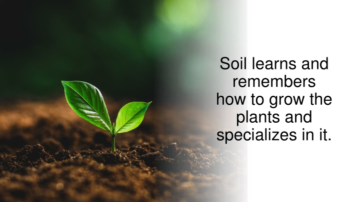 soil learns and remembers how to grow the plants