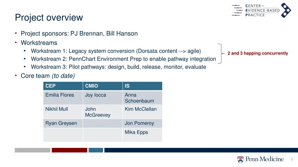 project overview