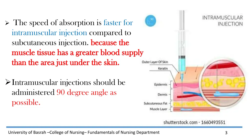 the speed of absorption is faster