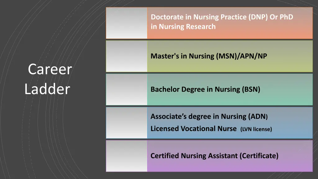 doctorate in nursing practice