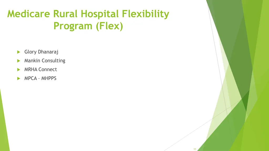 medicare rural hospital flexibility program flex 1
