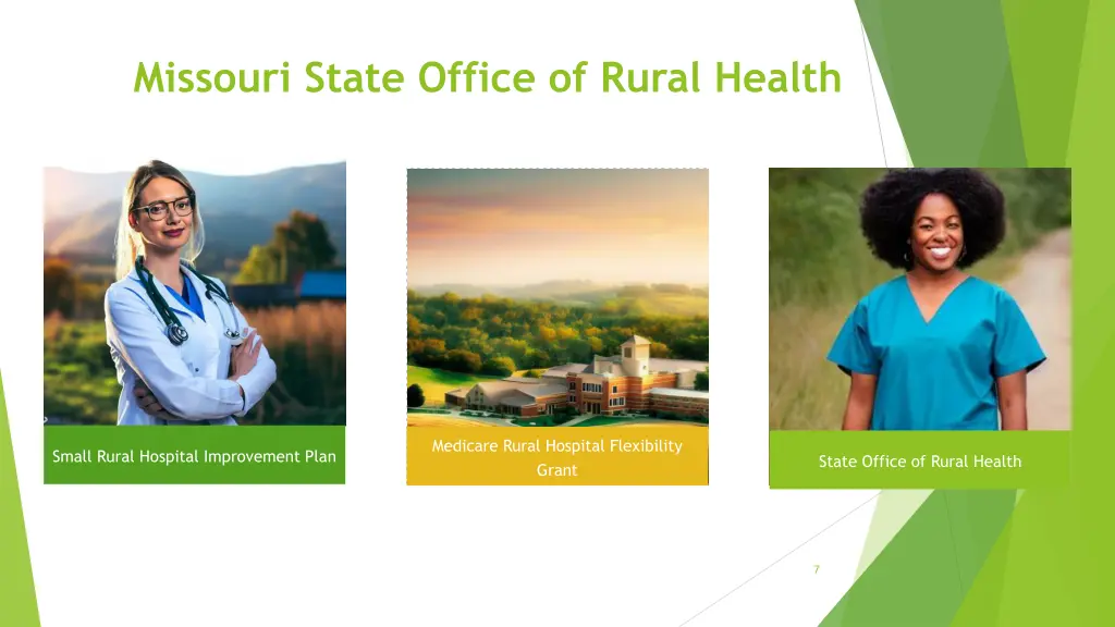 missouri state office of rural health 1