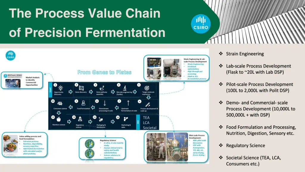 the process value chain