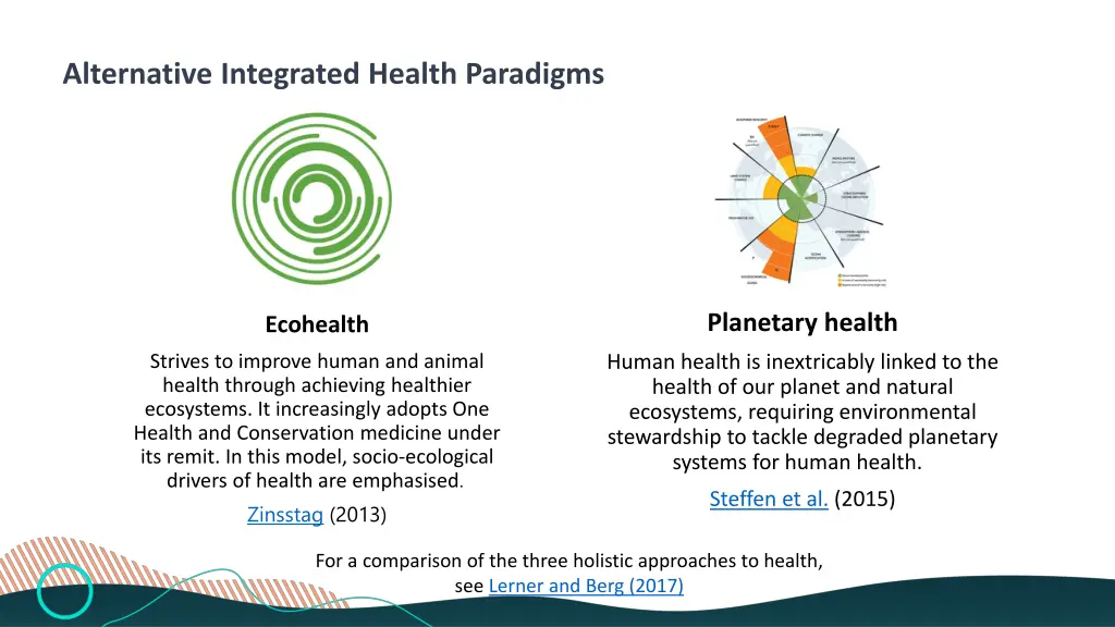 alternative integrated health paradigms