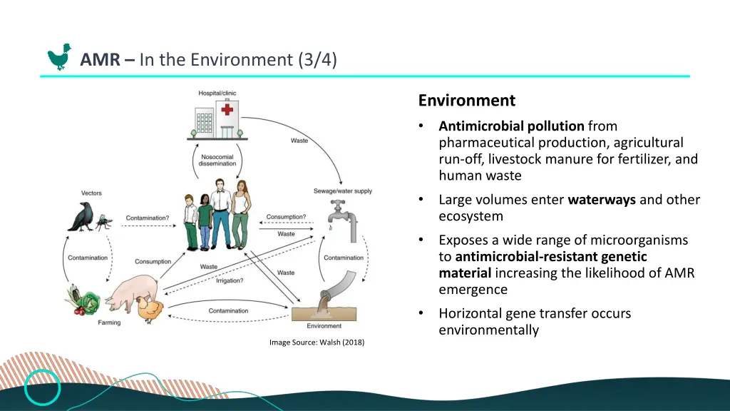 amr in the environment 3 4