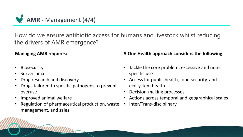 amr management 4 4