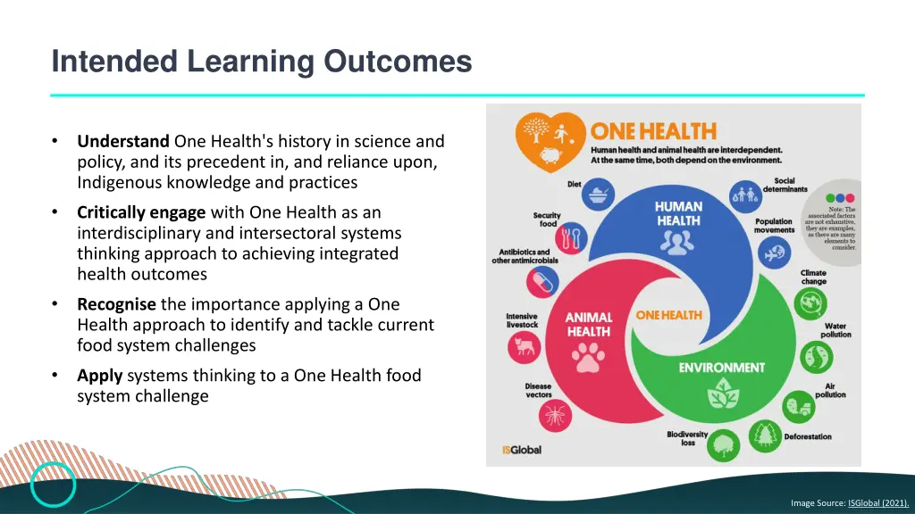 intended learning outcomes