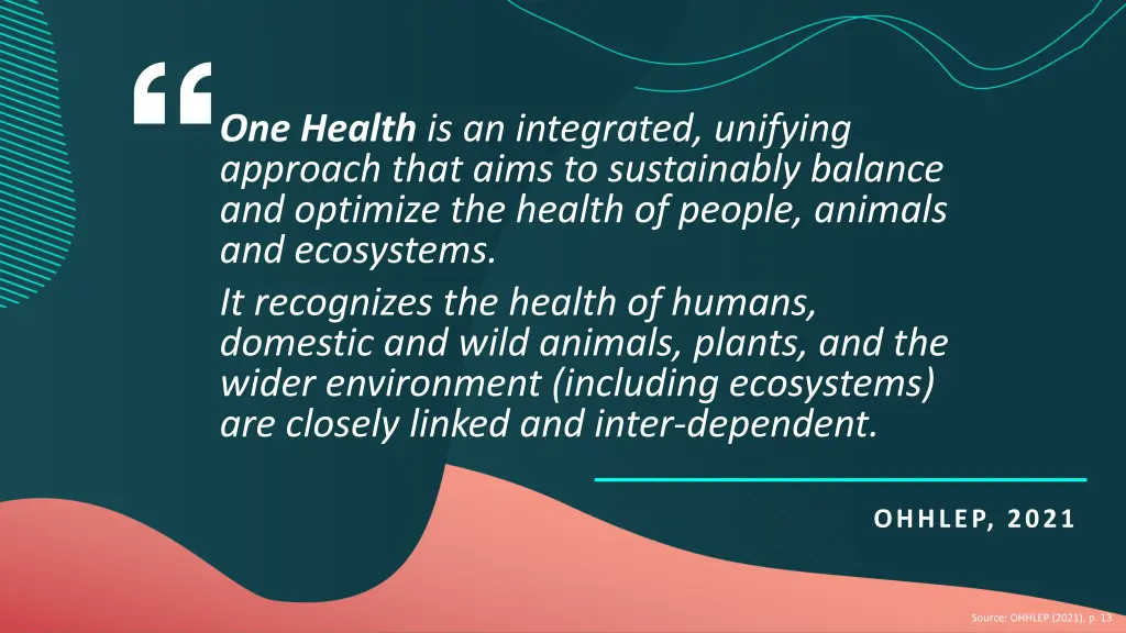 one health is an integrated unifying approach