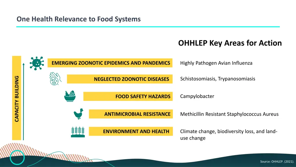 one health relevance to food systems