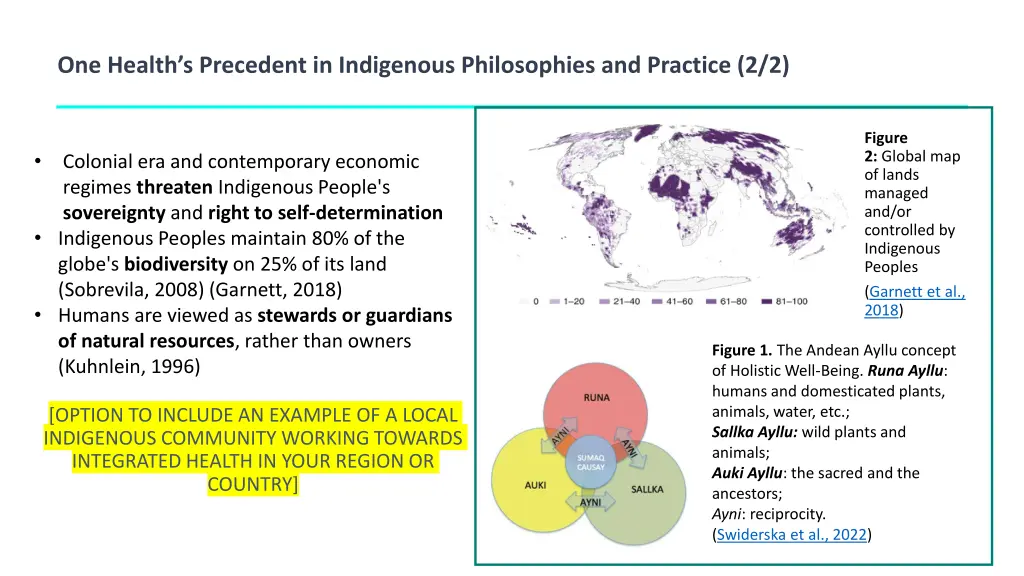 one health s precedent in indigenous philosophies 1