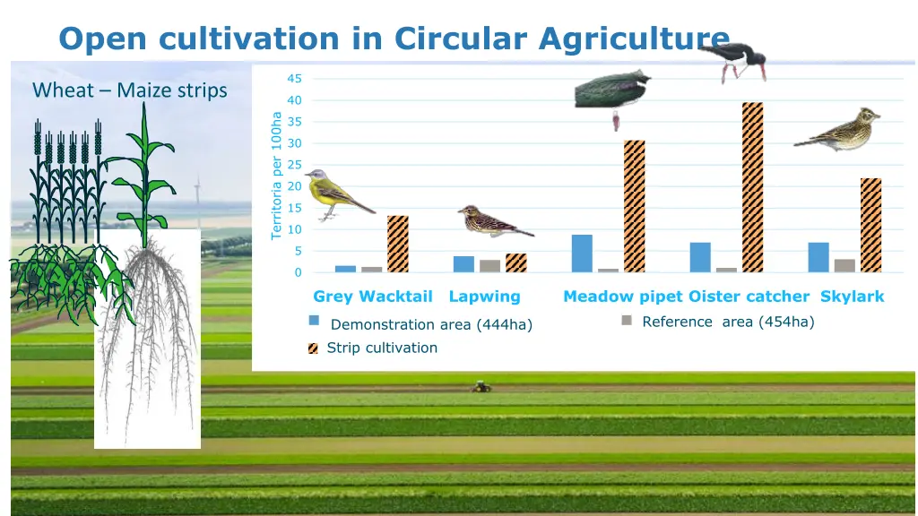 open cultivation in circular agriculture 1