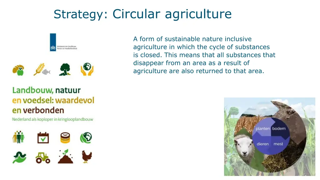 strategy circular agriculture