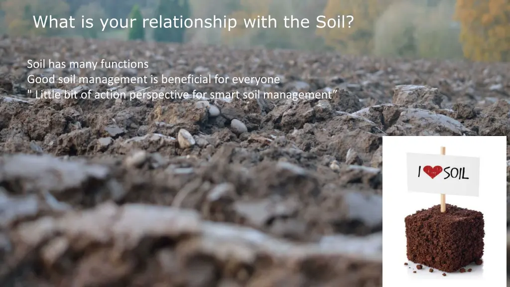 what is your relationship with the soil