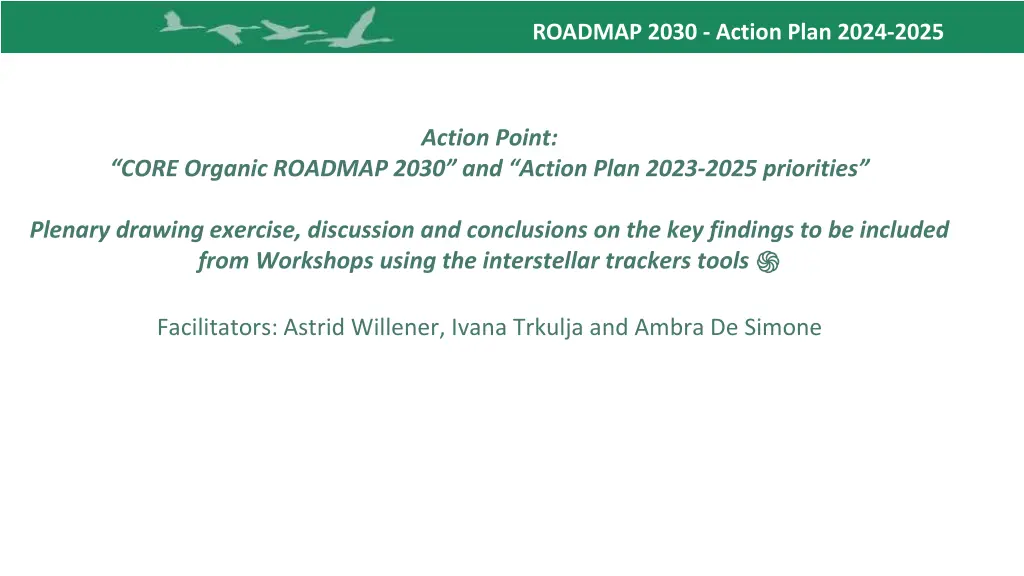 roadmap 2030 action plan 2024 2025