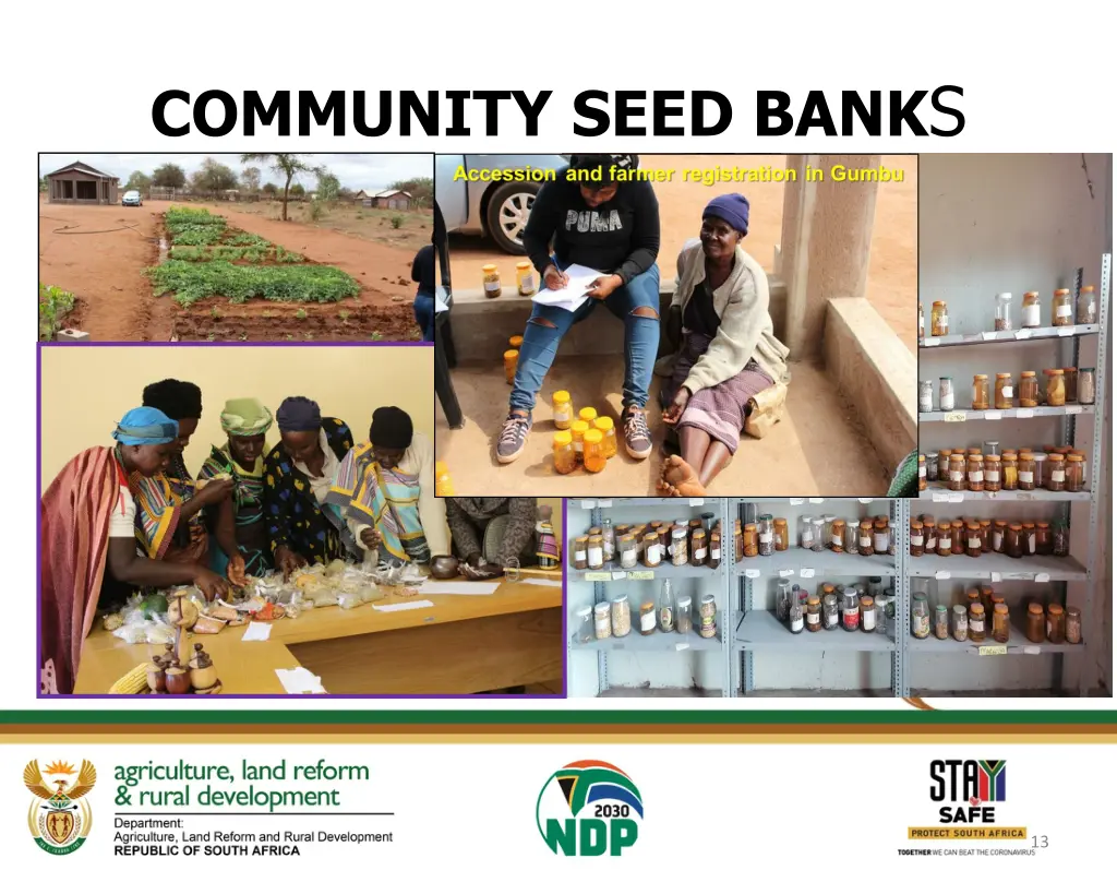 community seed bank s