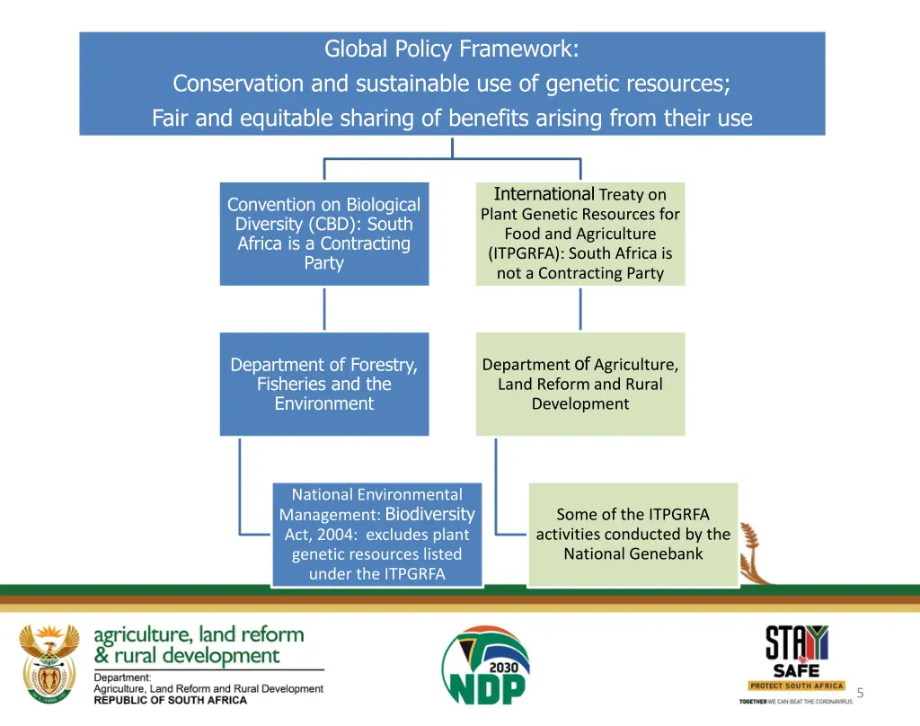 global policy framework