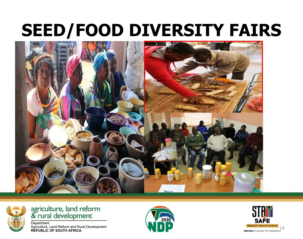 seed food diversity fairs