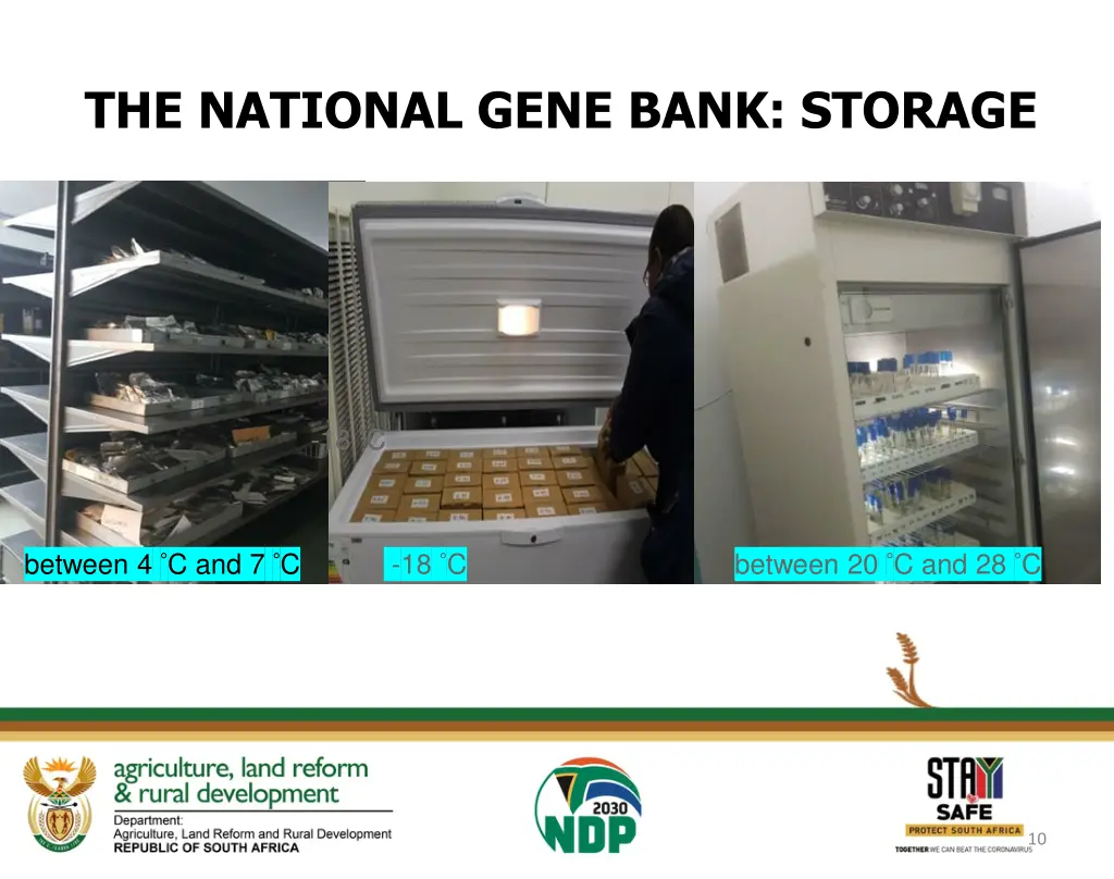 the national gene bank storage