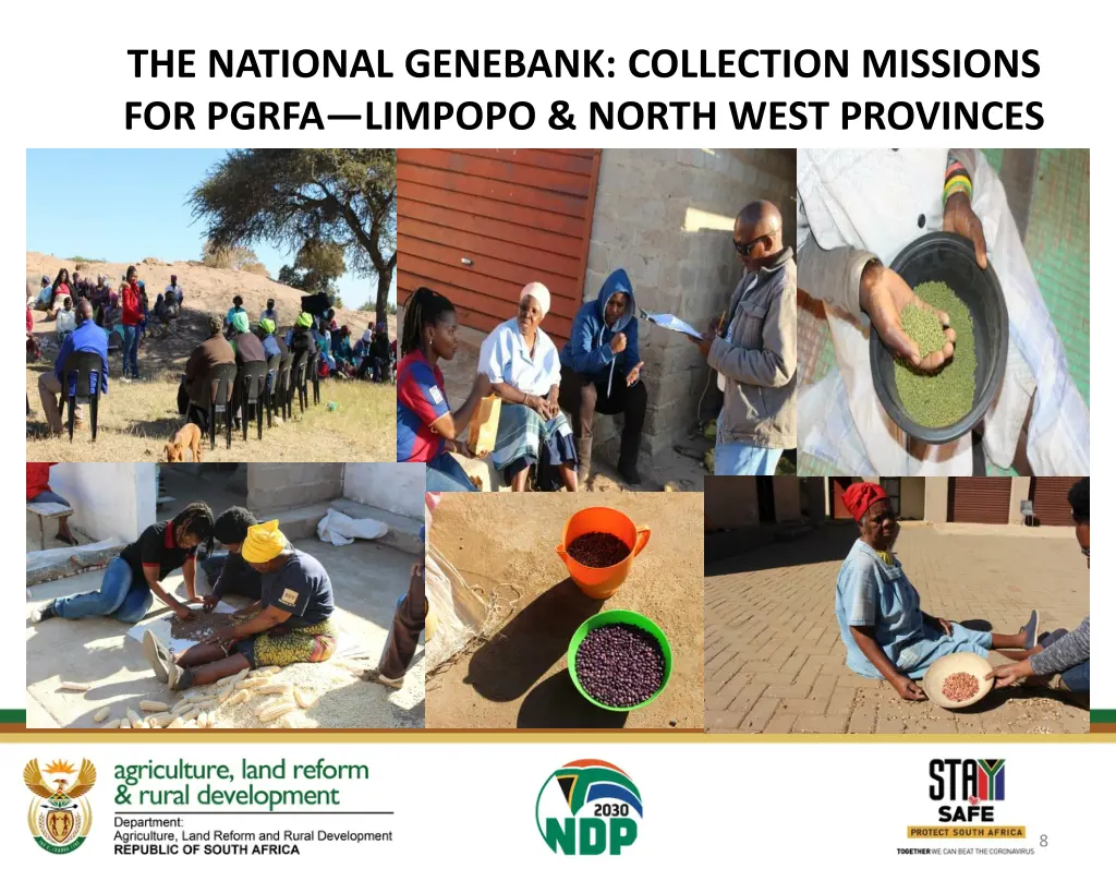 the national genebank collection missions
