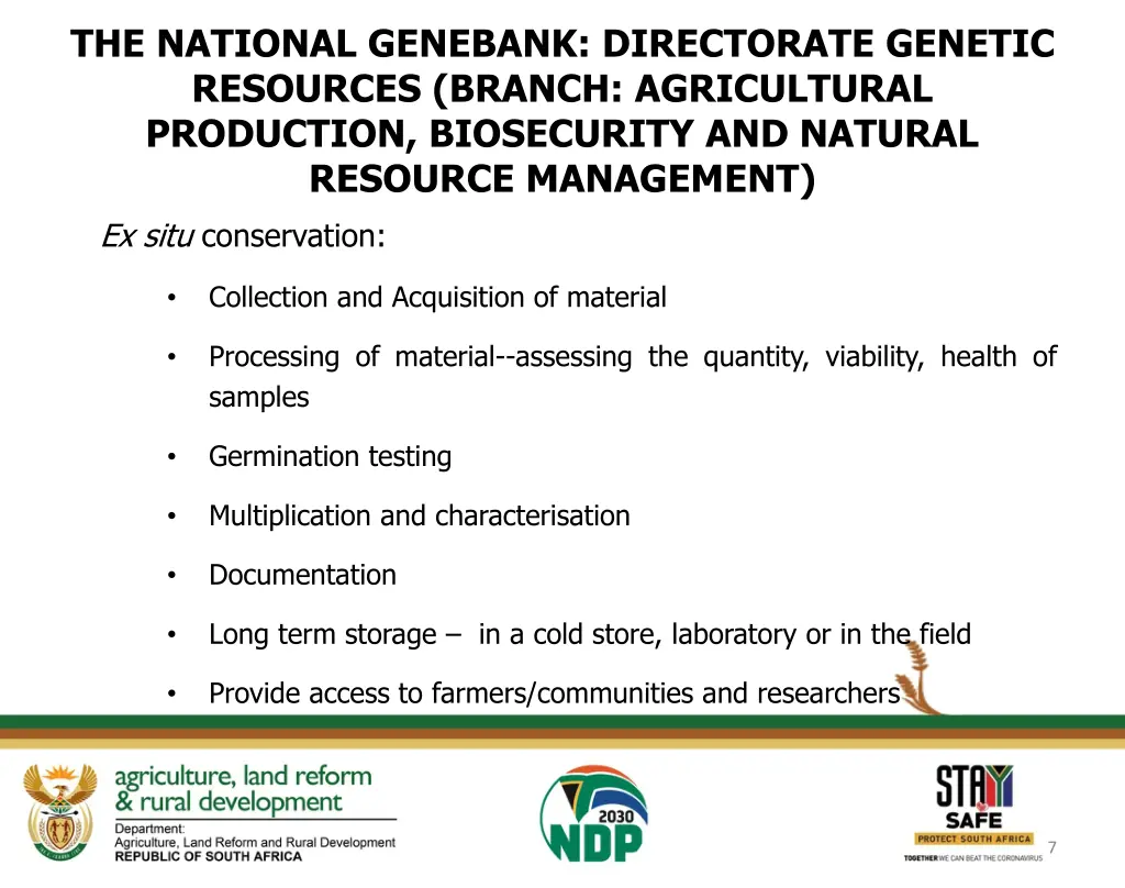 the national genebank directorate genetic 1