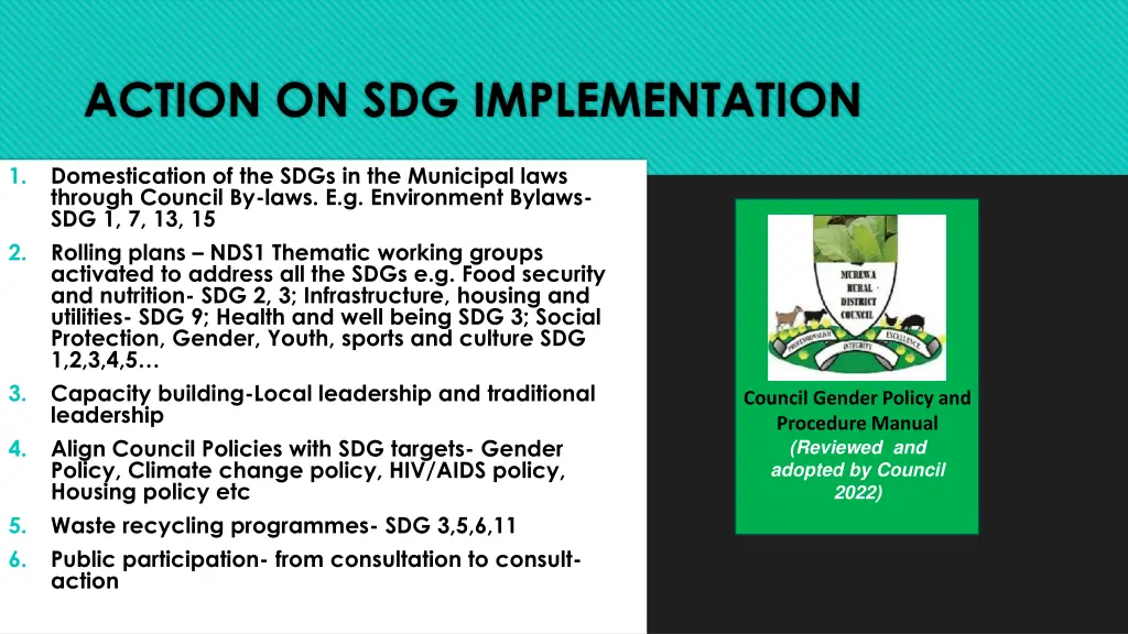 action on sdg implementation