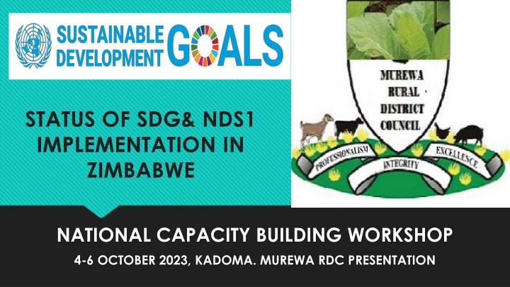 status of sdg nds1 implementation in zimbabwe