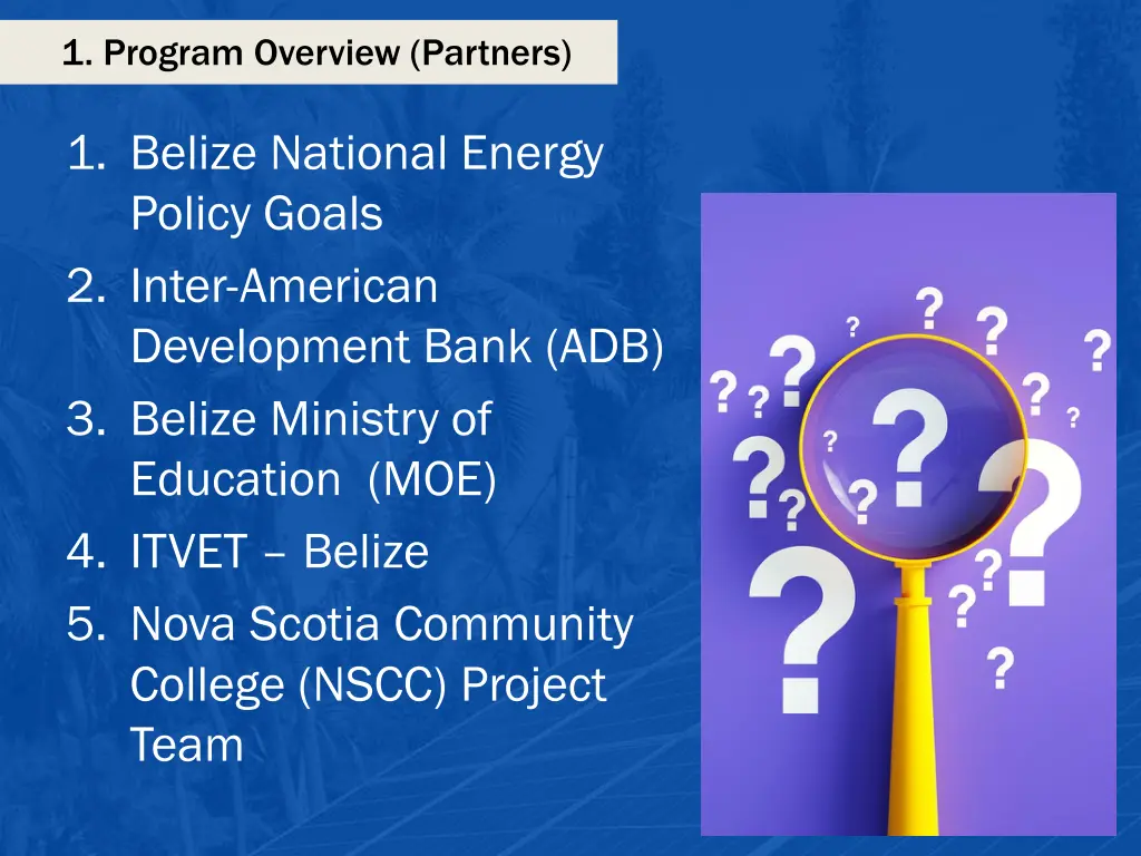 1 program overview partners