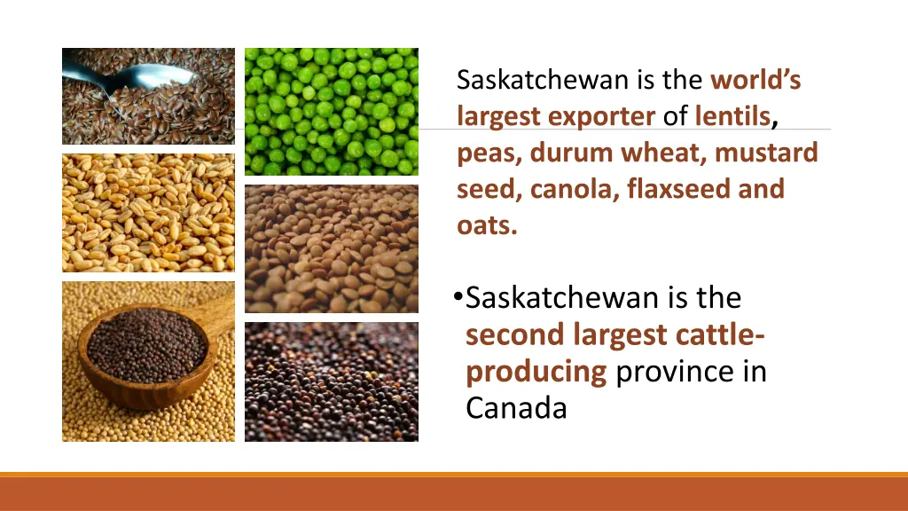 saskatchewan is the world s largest exporter