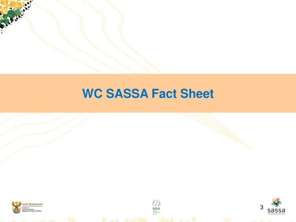 wc sassa fact sheet