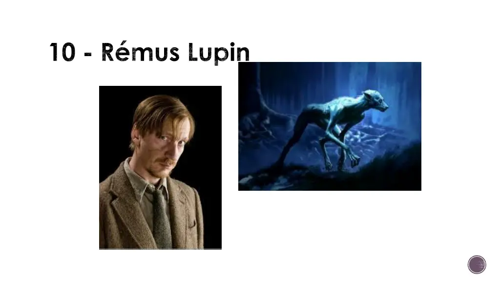 10 r mus lupin