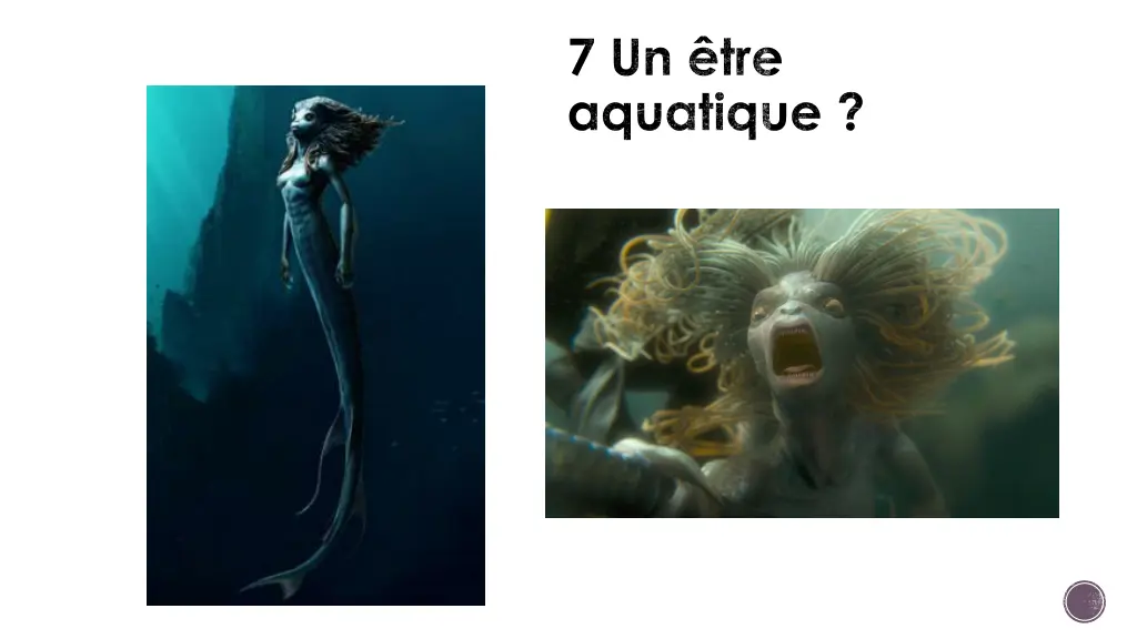 7 un tre aquatique