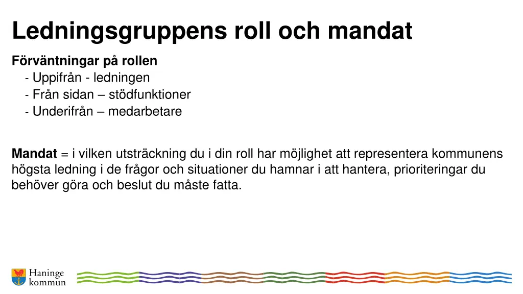 ledningsgruppens roll och mandat