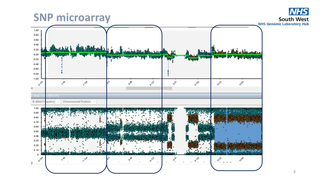 snp microarray