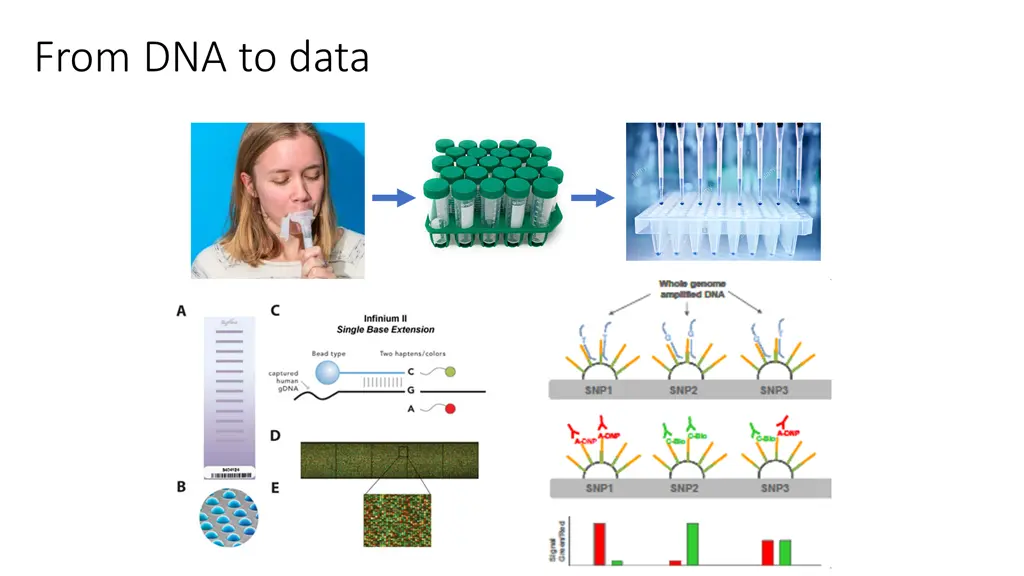 from dna to data