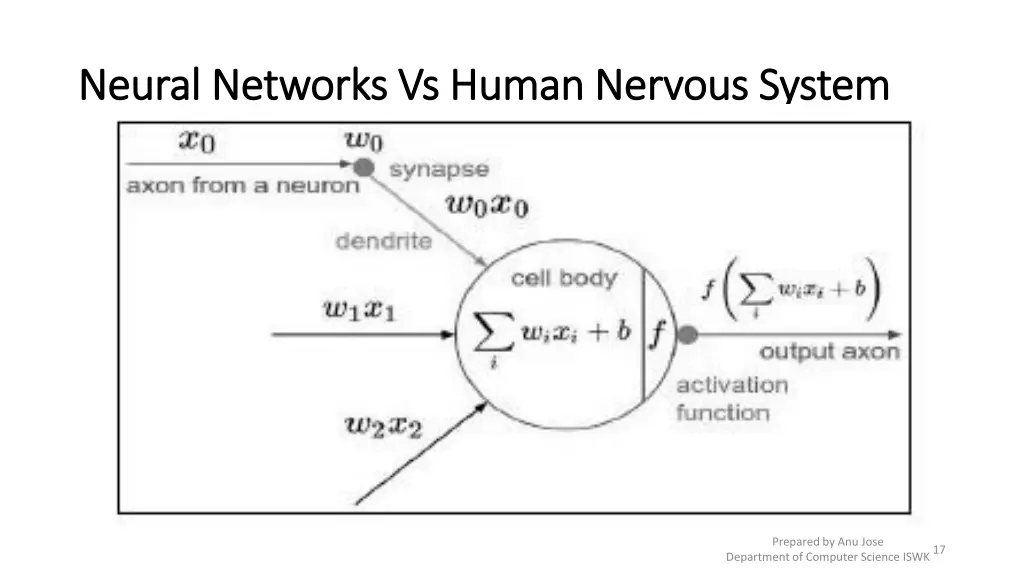 neural networks vs human nervous system neural 2