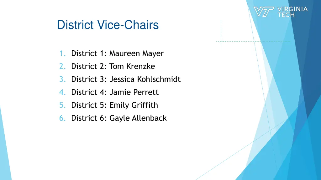 district vice chairs