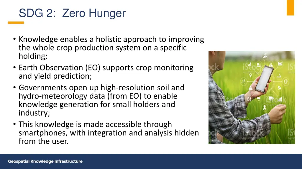 sdg 2 zero hunger 1