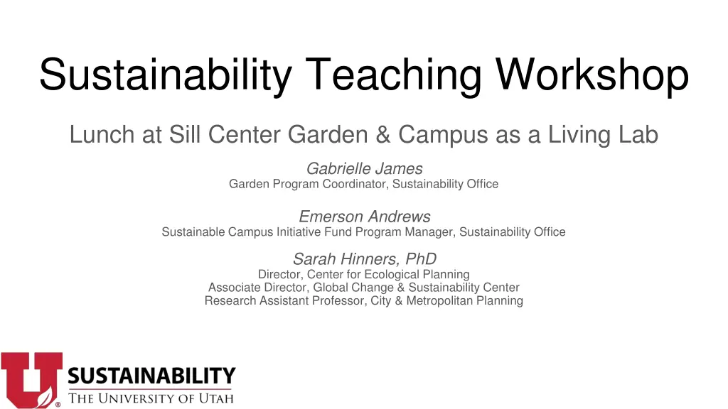 sustainability teaching workshop 3