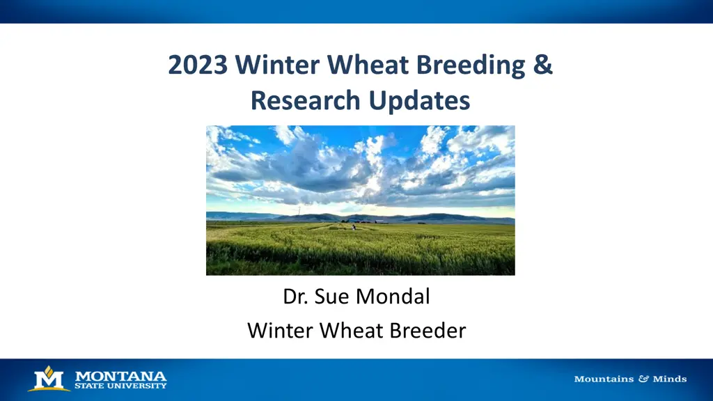 2023 winter wheat breeding research updates