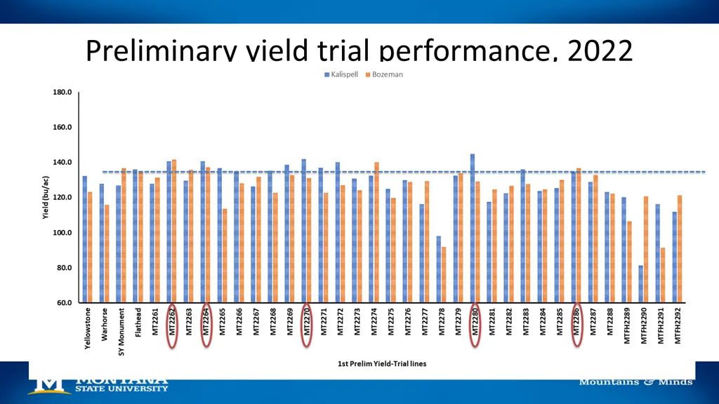 preliminary yield trial performance 2022