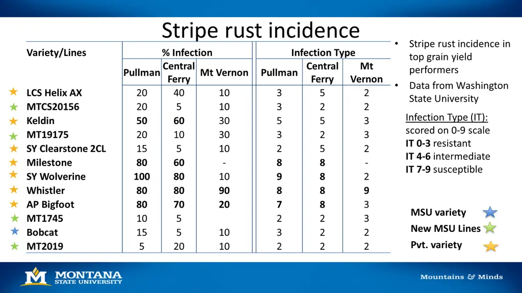 stripe rust incidence infection pullmancentral