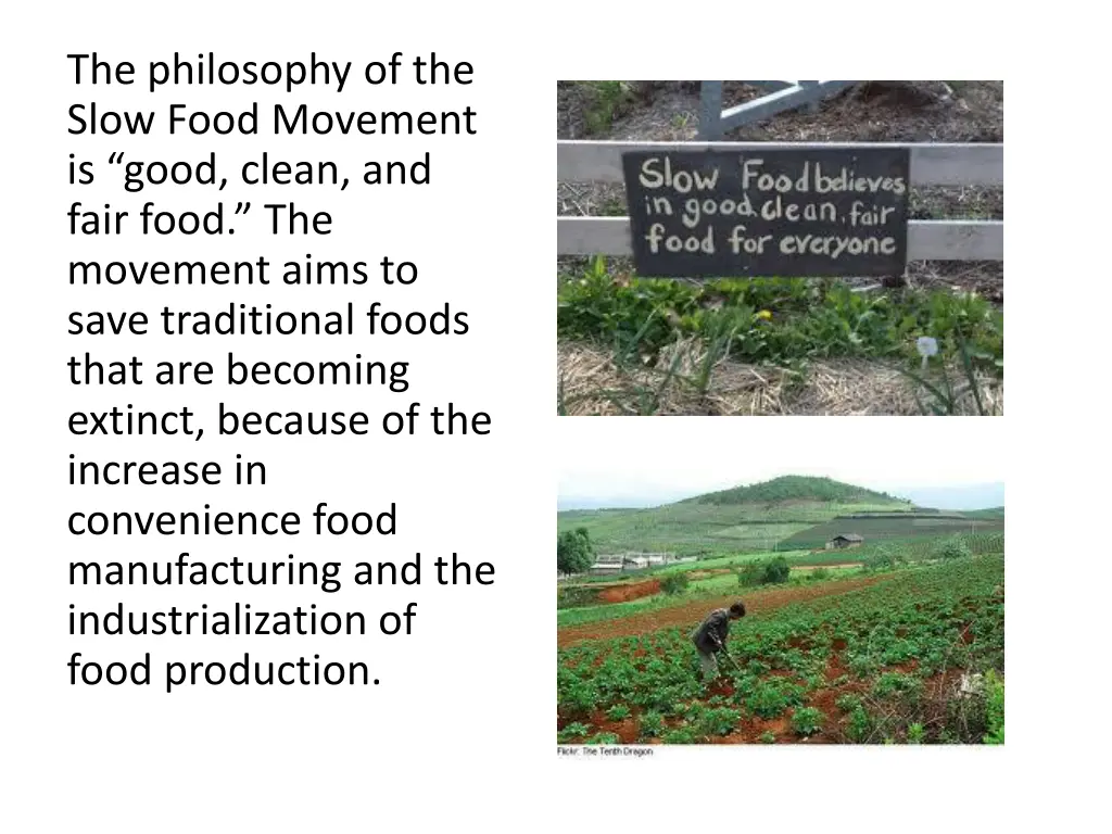 the philosophy of the slow food movement is good