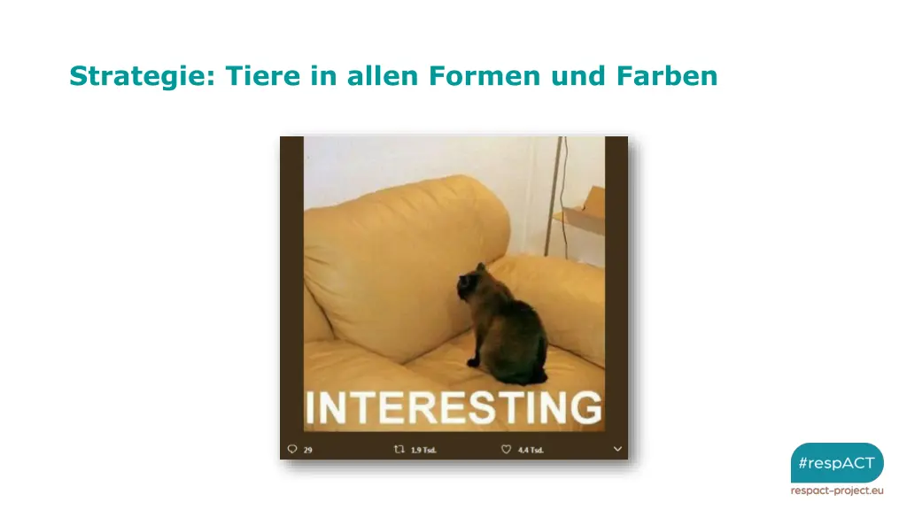 strategie tiere in allen formen und farben